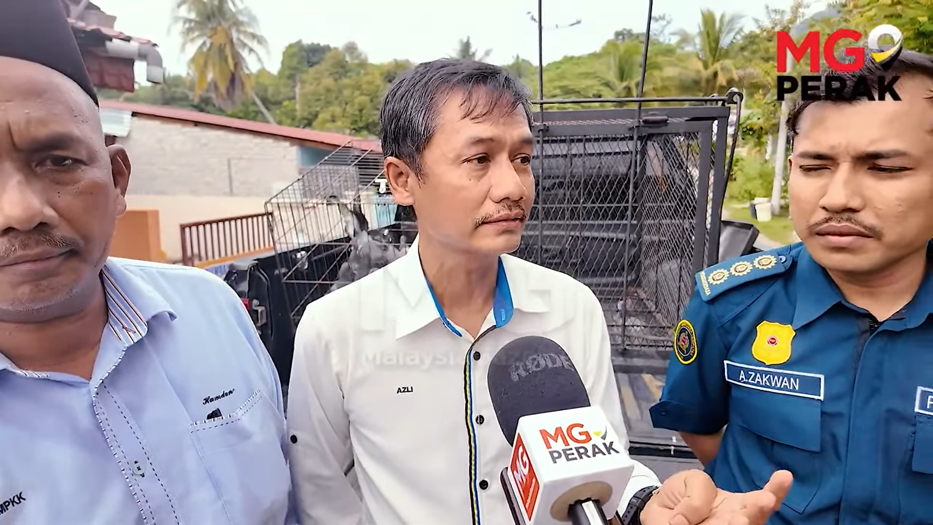 Penduduk Liman Kati Lega Tindakan MPKK Tangani Isu Merpati Liar